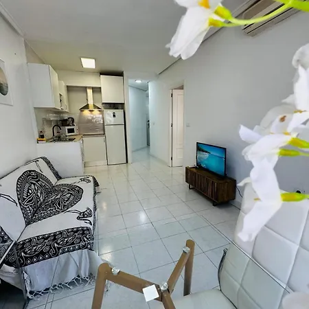 Apartment In Torrevieja
